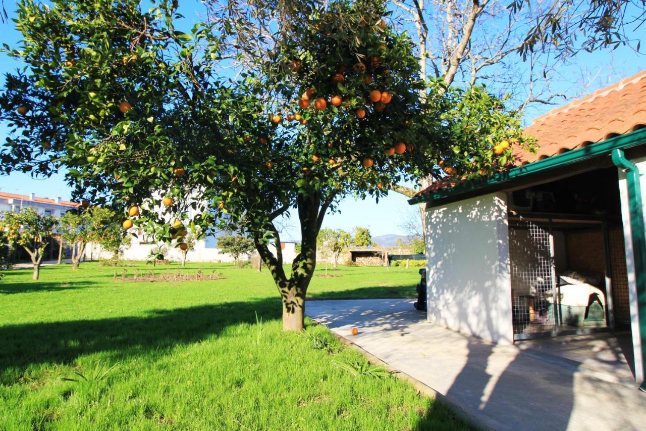 הוילה פונטה דה לימה Casa Dos Ouricos מראה חיצוני תמונה